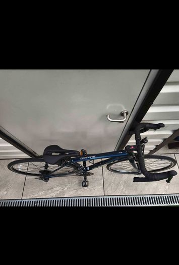Trek Domane