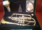 Yamaha Cornet YCR4330G