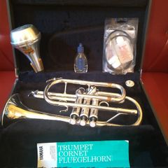 Yamaha Cornet YCR4330G