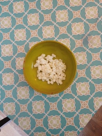 Kefir grains