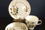 Fabulous Arklow Pottery Bone China Trio in "Display-Only" Condition - a Lovely Floral Pattern in White, Yellow and Green.