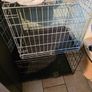 Dog Crates Image 2