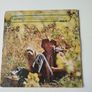 John Dennver vinyl lp Image 2