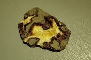 Turtle back agate