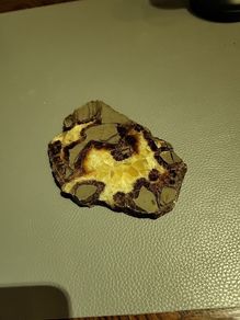 Turtle back agate