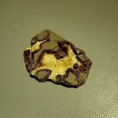 Turtle back agate