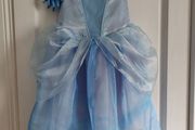 Disney princess costume, reversible