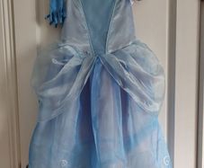 Disney princess costume, reversible