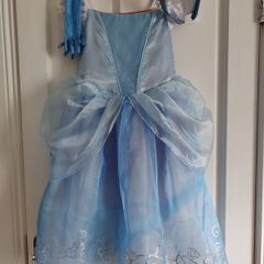 Disney princess costume, reversible