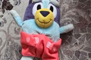 Baby bluey toy