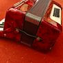 Piano Accordion Image 5