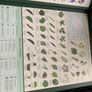 The RHS A-Z Garden Encyclopedia (Hardbck, 1996) Image 5