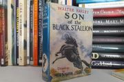Son of the Black Stallion by Walter Farley. Drawings by Hofbauer (LP225)
