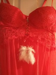 Censored Santa lingerie set