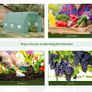 4.5 x 2 x 2m Polytunnel Greenhouse Outdoor Portable Walk-In Greenhouse with Windows Image 6