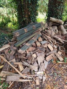 fire wood