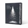 Dermalogica Advent Calendar 2026 Image 2