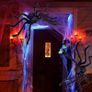 2pcs Black Giant Spider, Triangular Cobweb 5m 4.8m, Plastic Spiders 30pcs, Spider Web 40g for Halloween Decorations Indoor Outdoor Home Yard Image 5