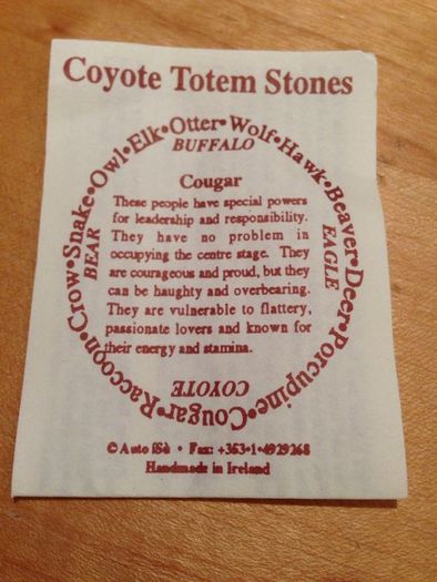 Coyote Totem Energy Stones Necklace.