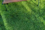 garden bench