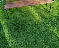 garden bench