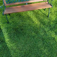 garden bench