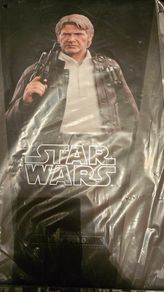 Hot toys TFA Han Solo
