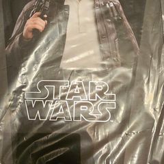 Hot toys TFA Han Solo