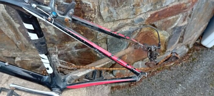 Giant Tcr Carbon Frame Swap/trade