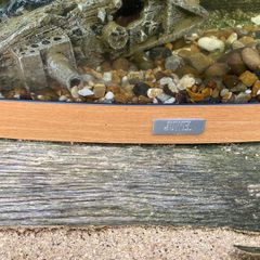 Juwel Aquarium
