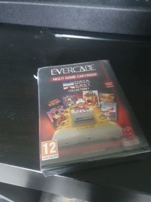 Retro Evercade. Data East