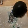 horse riding helmet Image 4