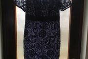 Berkertex Navy Lace Dress, Size 12, Fully Lined, New