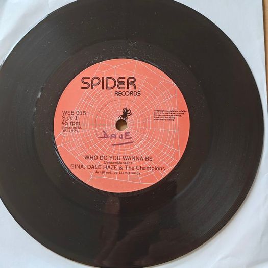 Gina Dale Haze and the Champions,  Who do you wanna be, 7", Irish  Showband