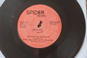 Gina Dale Haze and the Champions,  Who do you wanna be, 7", Irish  Showband