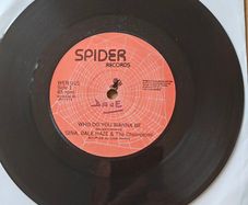 Gina Dale Haze and the Champions,  Who do you wanna be, 7", Irish  Showband
