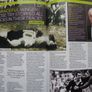 Ireland vs New Zealand Match Day Programme 17 November 2018 Image 8