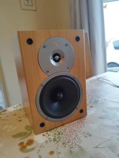 Home Stereo (Pioneer X-HM10 + Gale Gold Monitors)