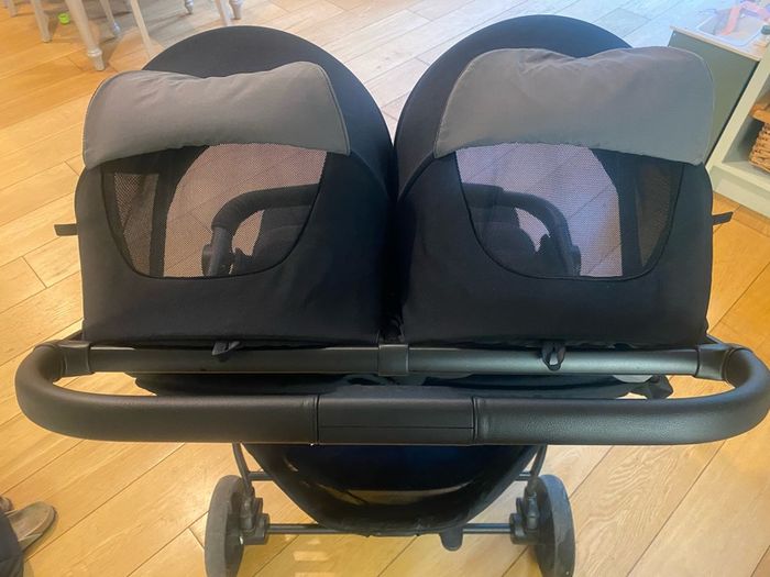 Double Buggy