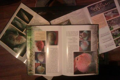 Fish books