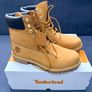 Timberland 6-Inch Boots Brand New Image 2