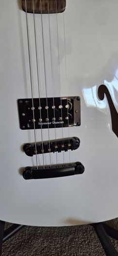 Custom built Fender Tom DeLonge starcaster