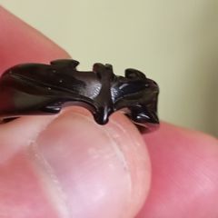 titanium batman ring.  very cool