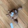 Door stop Image 3