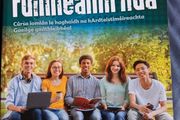 Leaving Cert Irish