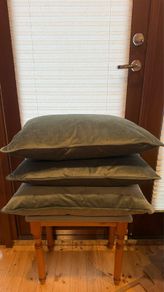 Dunnes Stores Velvet Cushions Sage Green (10 Available)