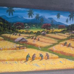 Bali Aging mountain rice harvest