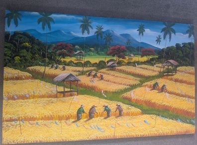 Bali Aging mountain rice harvest