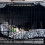Large Dog Crate Image 2