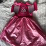 Paw patrol costume skye (age 3-4) Image 2